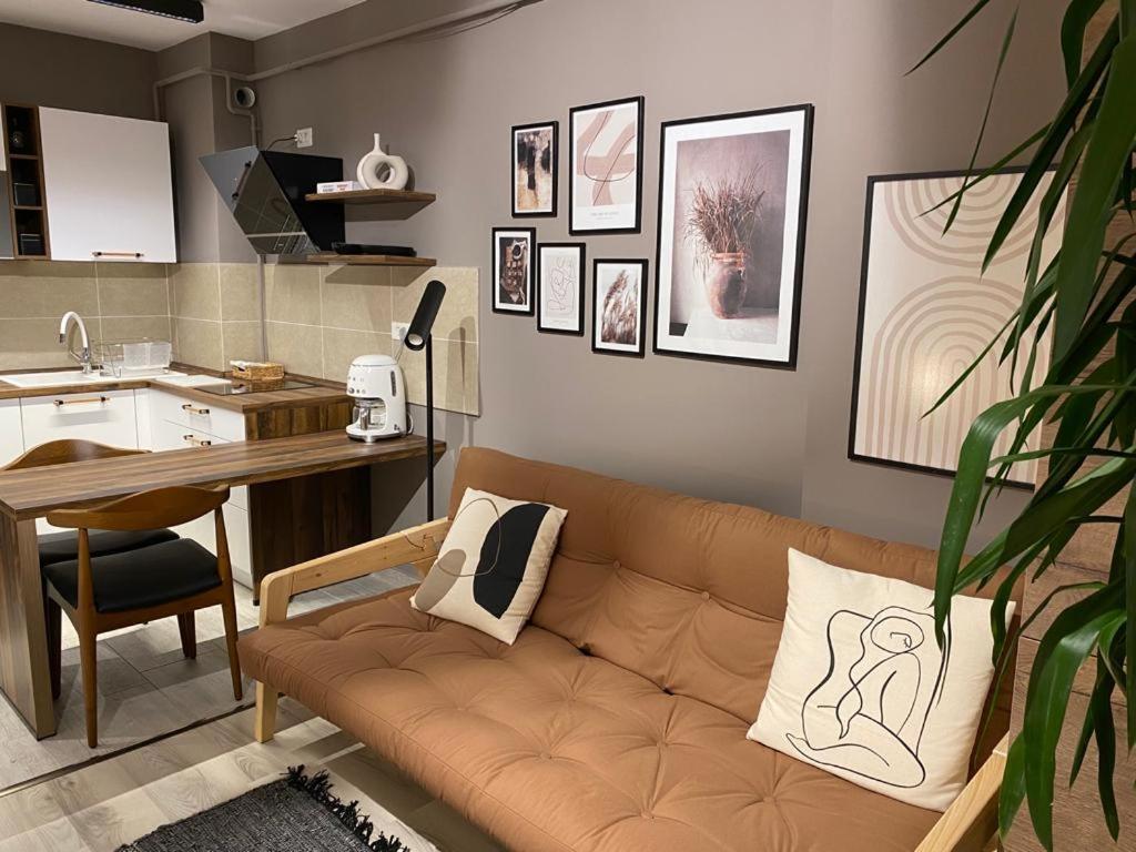 Shi Zi Junior Suite Iasi Ngoại thất bức ảnh