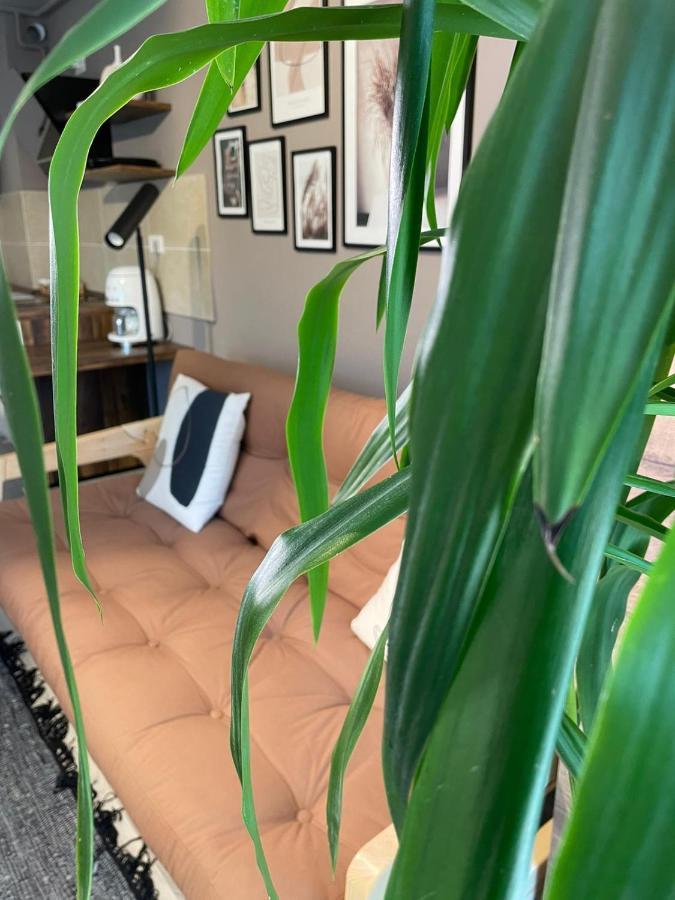 Shi Zi Junior Suite Iasi Ngoại thất bức ảnh